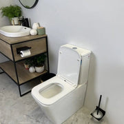 Enox Back-to-Wall Toilet Suite - Aqualux Bathrooms- Mercio