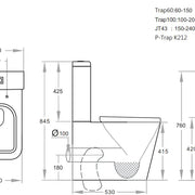 Qubist Box Rim White Toilet Suite - Aqualux Bathrooms- Poseidon