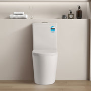 Avis Rimless Back To Wall Toilet Suite Gloss White - Beyond Bathware