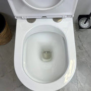 Pani Back-to-Wall Toilet Suite - Aqualux Bathrooms- Mercio