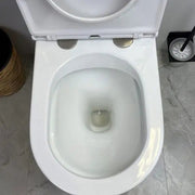 Mercio Pani Rimless Back To Wall Toilet Suite - Aqualux Bathrooms- Mercio