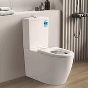 Asta Disable Rimless Toilet Rimless Flush Pan Gloss White - Beyond Bathware