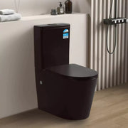 Avis Rimless Back To Wall Toilet Suite Matte Black - Beyond Bathware