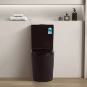 Avis Rimless Back To Wall Toilet Suite Matte Black - Beyond Bathware